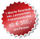 Angebot für Ihren Skiurlaub im Salzburger Land